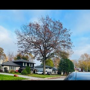 Meet your Posher, Simarpreet